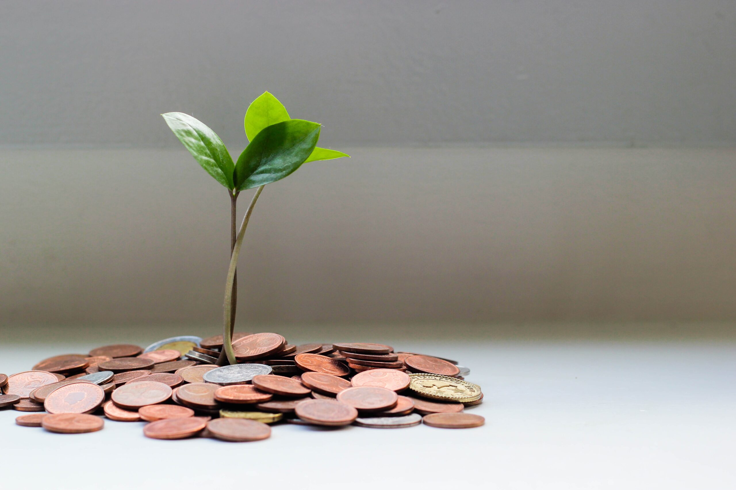 growing your savings